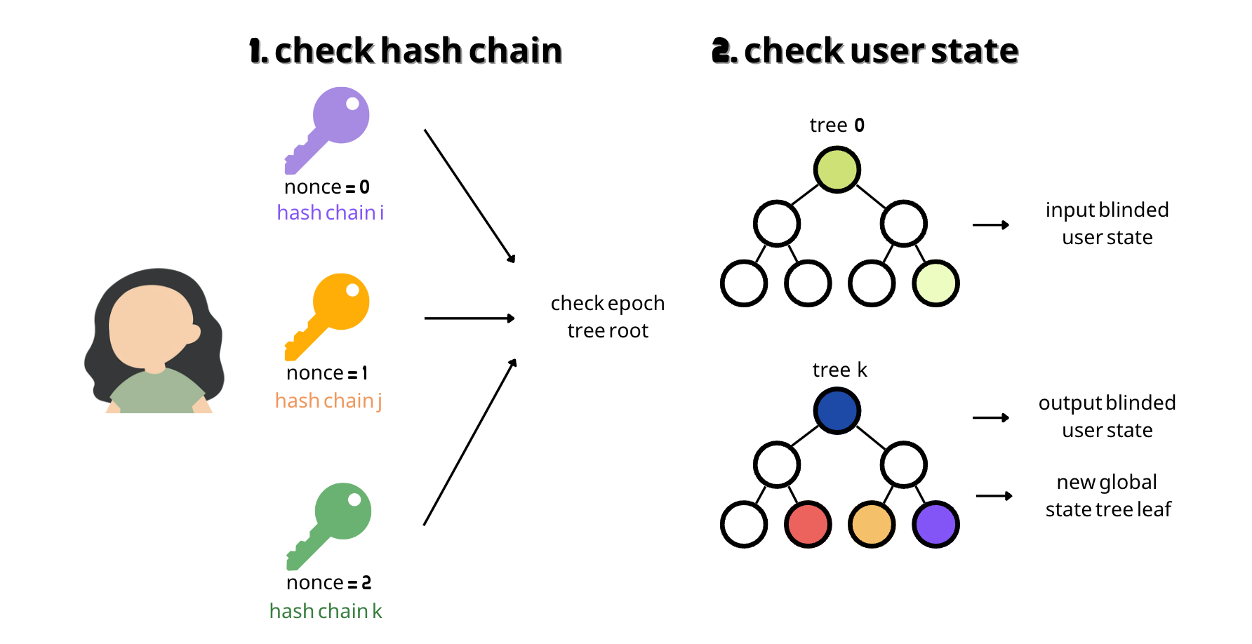 How the final user state transition proof verifies hash chains and user states.